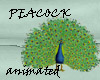 Peacock animated