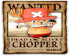 !Tony Tony Chopper!