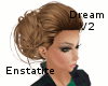 Dream V2 - Enstatite