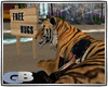 [GB]free huggs tiger
