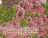 SM@Wedding[Beach]V2