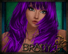 [B]purple brasathi