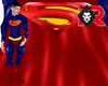 🦁 Superman Capa
