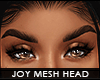 ! joy v.2 mesh head | t5