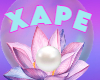 XAPE Support Tank S