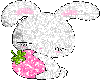 ~Cute Rabbit Glitter~ C