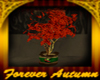 Forever Autumn Tree