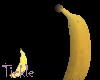 The Banana Is Back