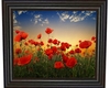 framed poppy picture