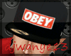 DJl Obey Fitted