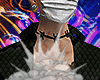 $nake Skin