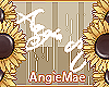AM! Angie Mae