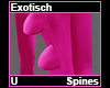 Exotisch Spines