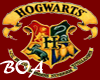 Hogwarts University Stic