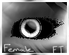 (F) Silver Eyes [FT]