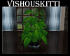[VK] Rain Day Plant