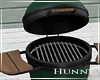 H. Green Egg Grill