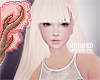 + Pernilla bleach
