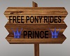 Free Pony Rides - Prince