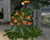 Bird of Paradise +Toucan