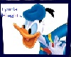 Donald Duck Pic for Kids