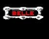 [KDM] Belle