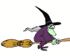 Witch Flies Animator
