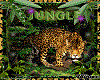 jungla swing