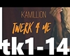 Kamillion-Twerk for me