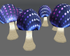 Spotted Fairy Mushrooms