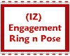 (IZ) Engagment Box nRing