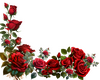 BUNDLE OF ROSES -1