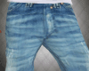 Arizona Blue Jeans Pants
