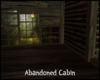 #Abandoned Cabin