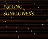 FALLing Sunflowers