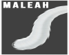 White Bobcat Tail