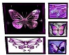 purple butterfly pics