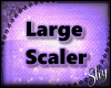 !PS 🎀 LARGE Scaler