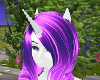 rarity unicorn horn