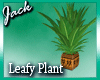 Leafy Plant Derivable