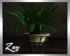 ZY: Cabin Plant