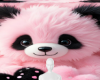 Teddy pink black bg