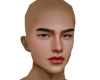 Handsome Head