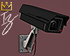 Animated Security Camera