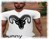 *SW* Aries Top