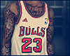 $ | Bulls Jordan Jersey