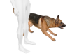 Matth ShepherdDog