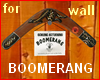!@ Original boomerang