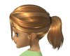 Gold and brown pony tail