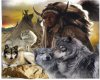 Native American Wolf